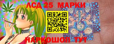 амфетамин Владимир